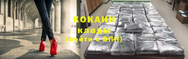 мдпв Бородино