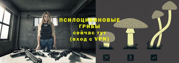 а пвп мука Богданович