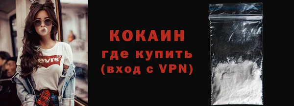мдпв Бородино