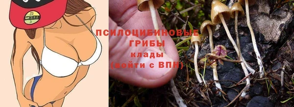 а пвп мука Богданович